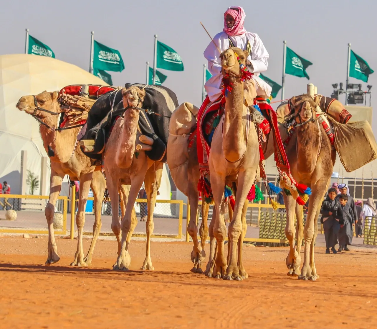 مهرجان الملك عبد العزيز للإبل