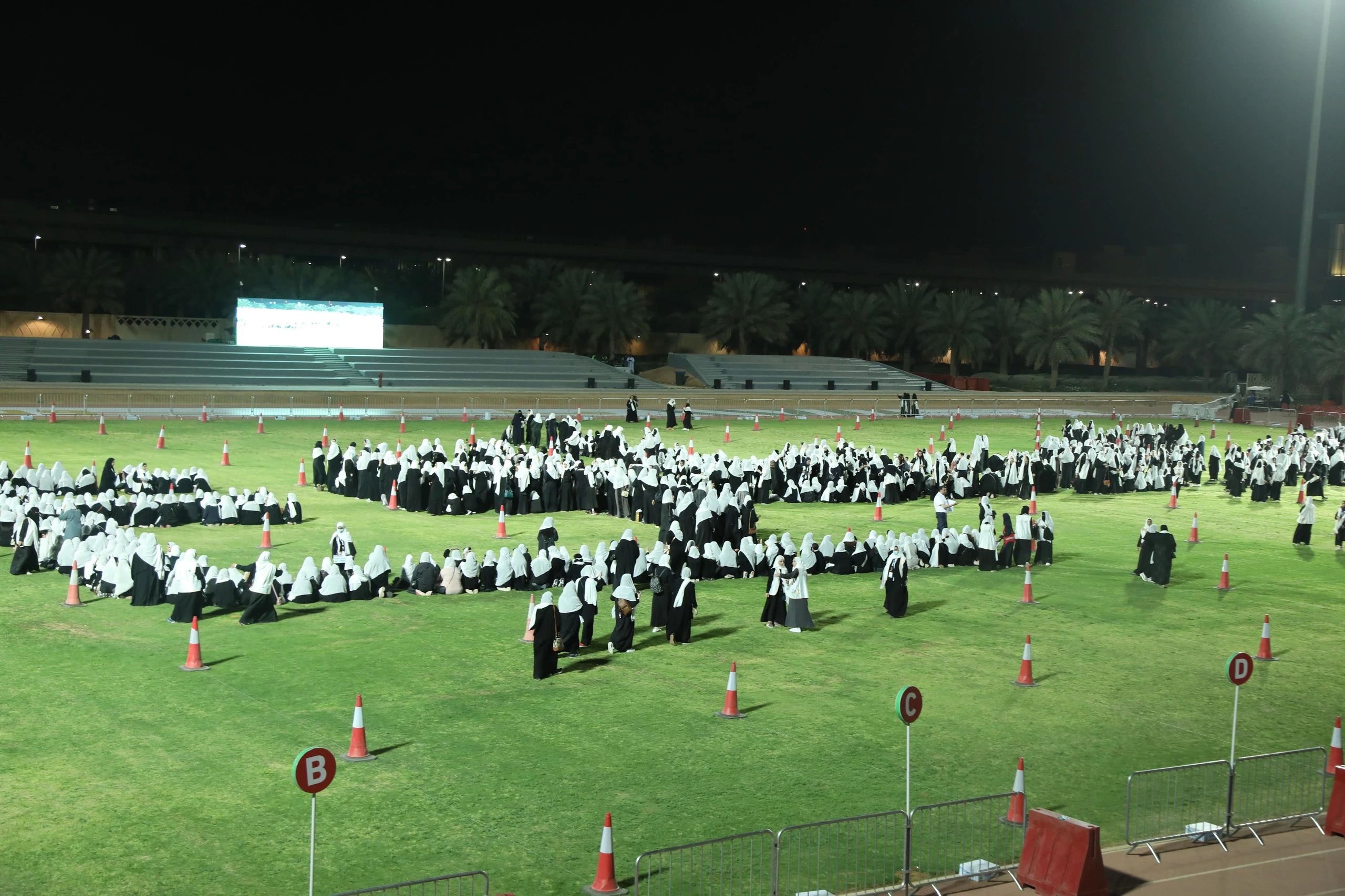 “Volunteer” Tifo Display and Parade