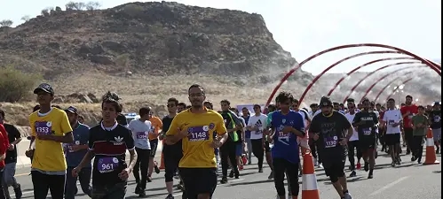 Operations & Logistics