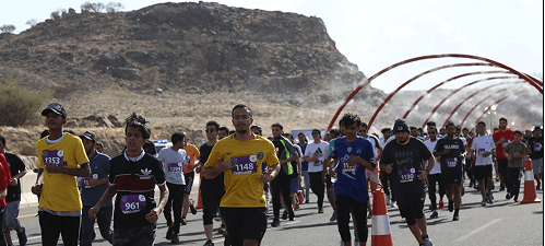 Operations & Logistics